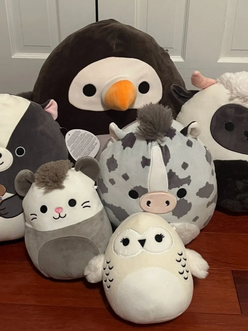 Squishmallows Plush Collection - Teal, Purple, Blue, Aqua, White